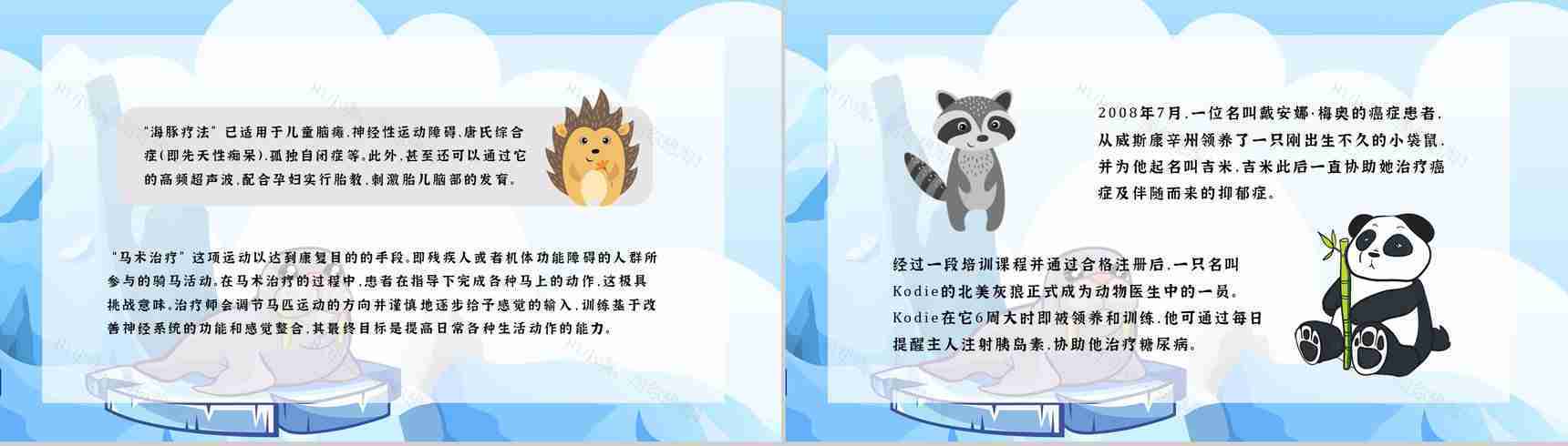 卡通风保护野生动物国际保护动物日公益宣传教育讲座策划书汇报PPT模板-10
