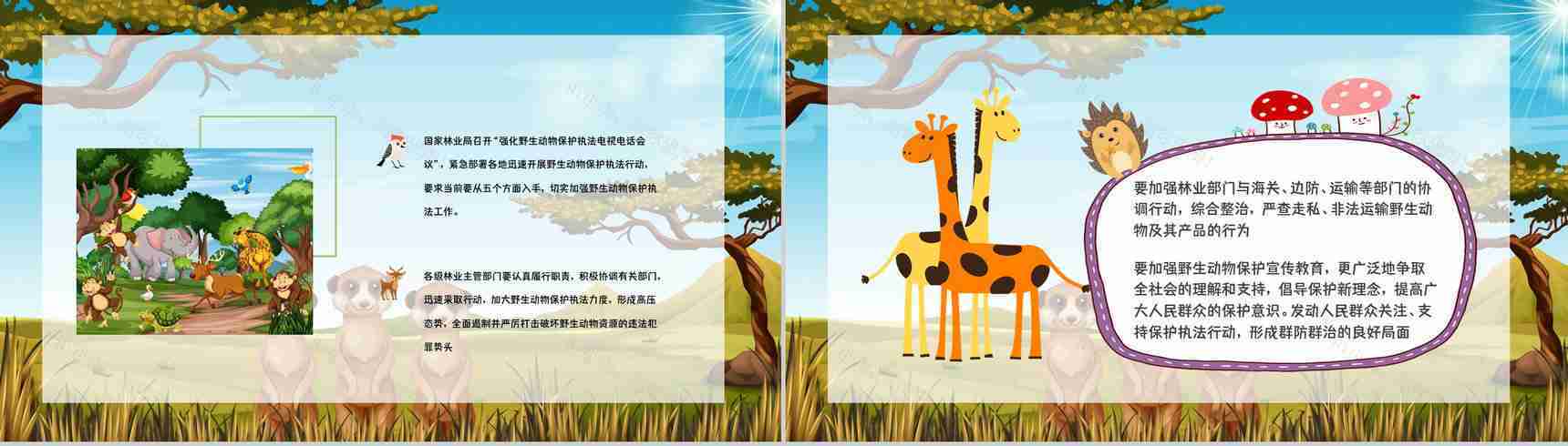 保护野生动物我们在行动主题公益活动宣传学生课外教学拓展PPT模板-10