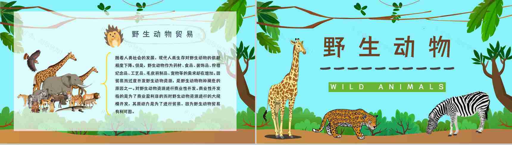 学生知识拓展至野生动物保护介绍学习主题班会世界动物日活动宣传讲解PPT模板-4