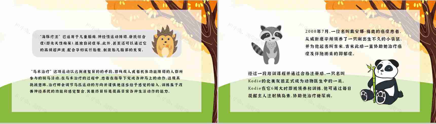 公益活动宣传国际保护动物日策划学校教育培训课外活动讲座PPT模板-8