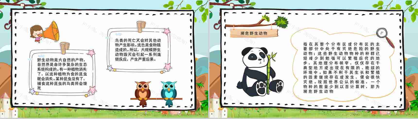 教育培训之野生动物介绍保护动物公益活动主题班会宣传活动计划书通用PPT模板-3