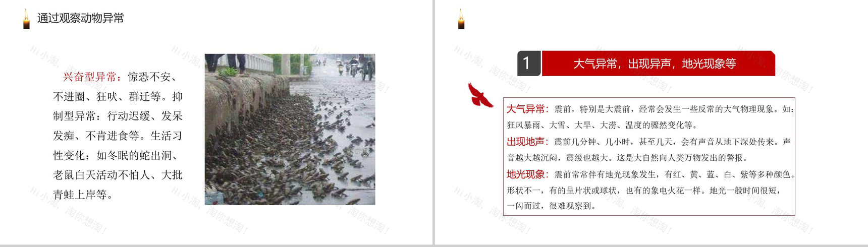 灰色震撼大气社会类地震安全知识教育普及PPT模板-6