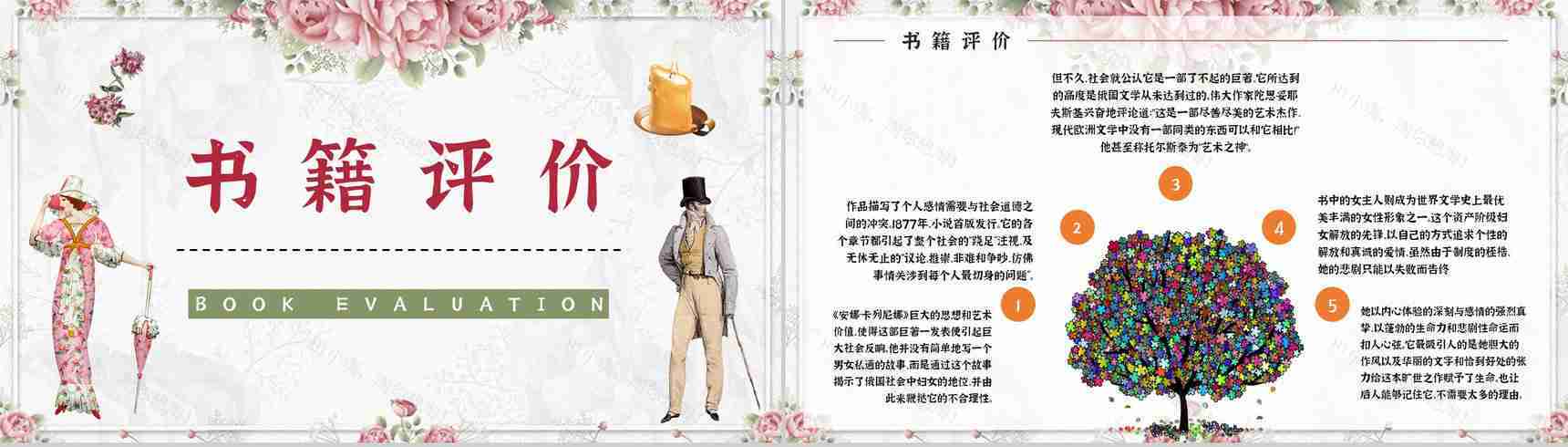 国外著名长篇小说《安娜卡列尼娜》经典片段摘抄读后感分享读书笔记整理PPT模板-5