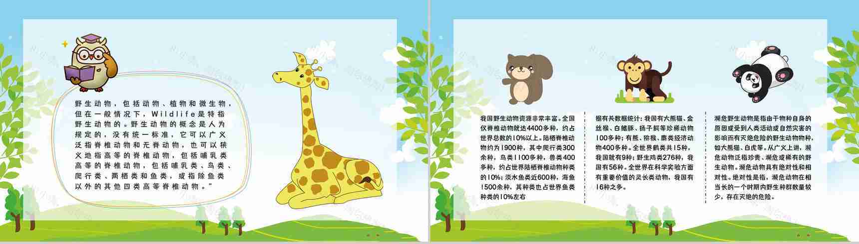 禁食野味宣传野生动物知识讲解保护动物活动公益宣传培训讲座PPT模板-3