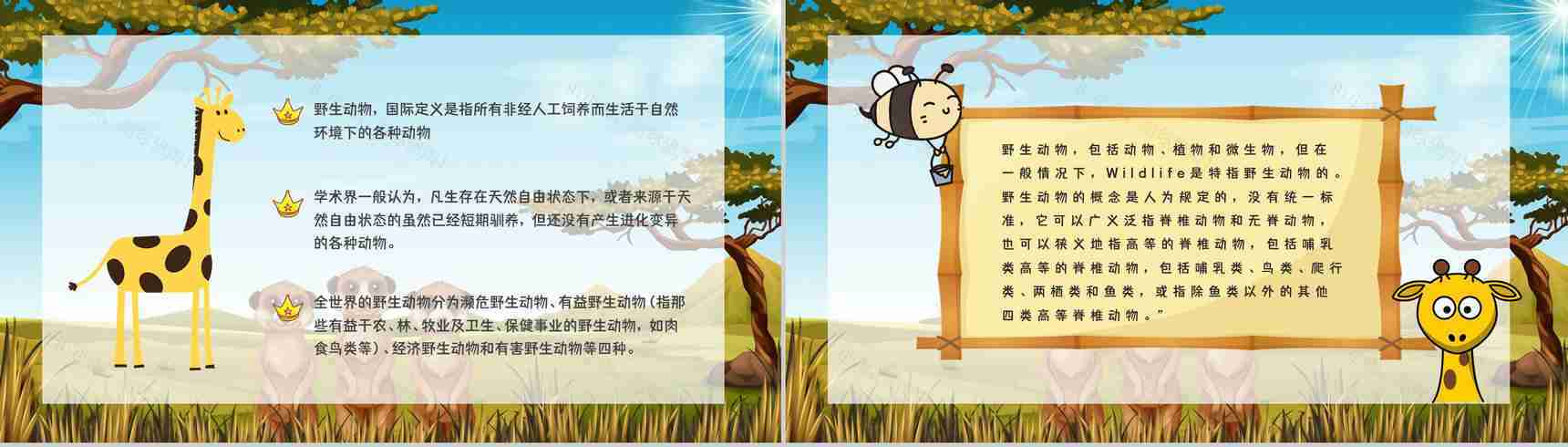 保护野生动物我们在行动主题公益活动宣传学生课外教学拓展PPT模板-5