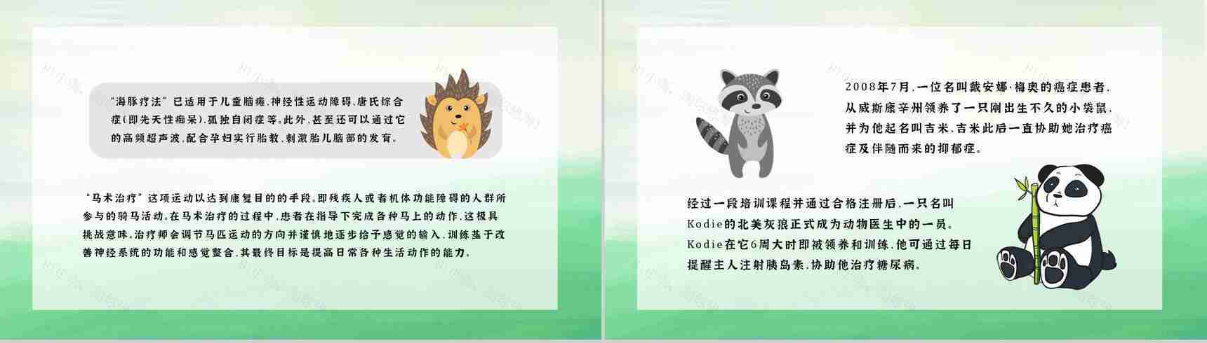 国际保护动物日世界动物日保护动物活动策划公益宣传PPT模板-9