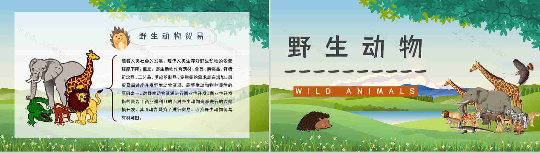 教育教学爱护野生动物保护动物公益活动宣传主题班会PPT模板-8
