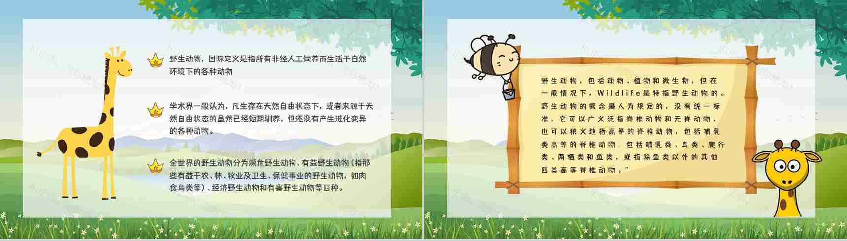 教育教学爱护野生动物保护动物公益活动宣传主题班会PPT模板-9
