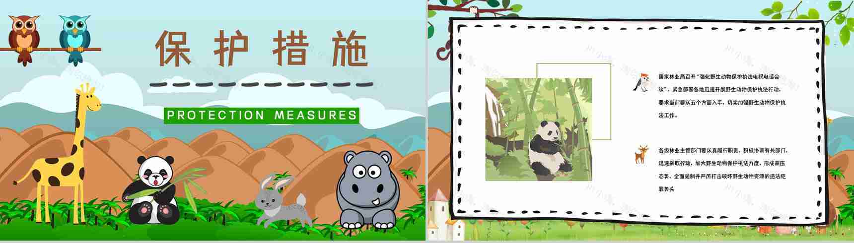 教育培训之野生动物介绍保护动物公益活动主题班会宣传活动计划书通用PPT模板-4