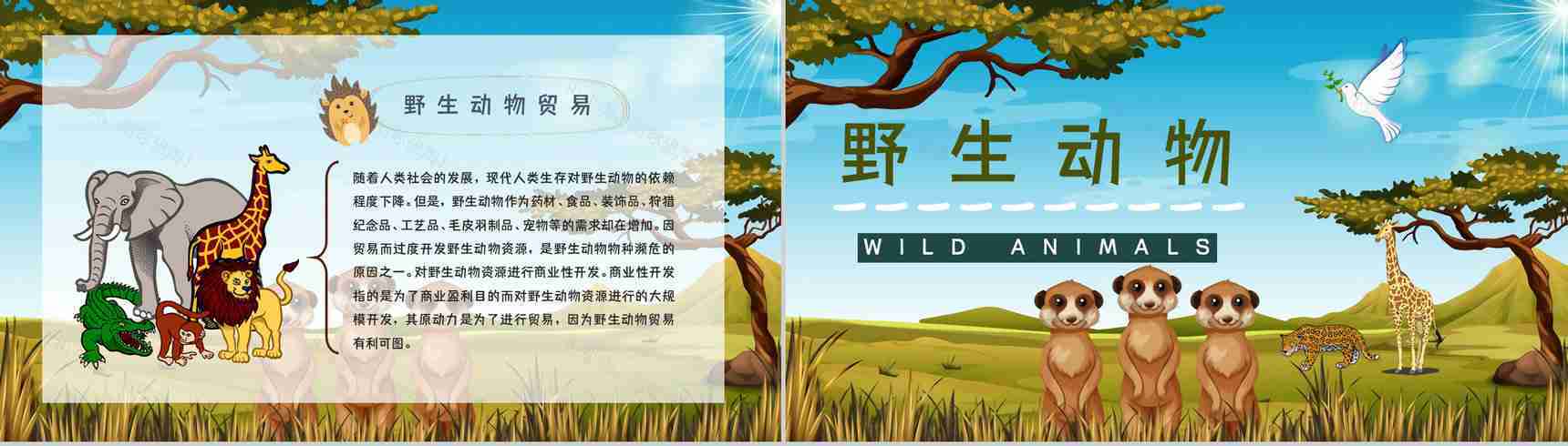 保护野生动物我们在行动主题公益活动宣传学生课外教学拓展PPT模板-4