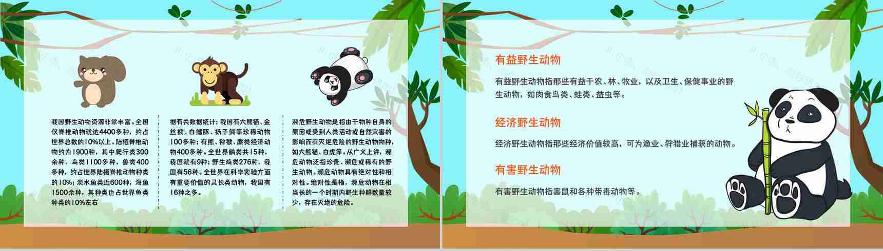 学生知识拓展至野生动物保护介绍学习主题班会世界动物日活动宣传讲解PPT模板-6