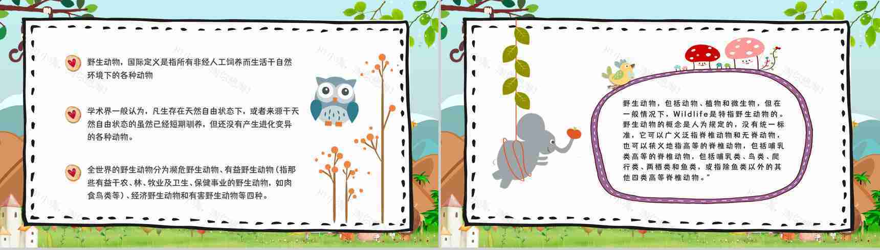 教育培训之野生动物介绍保护动物公益活动主题班会宣传活动计划书通用PPT模板-9
