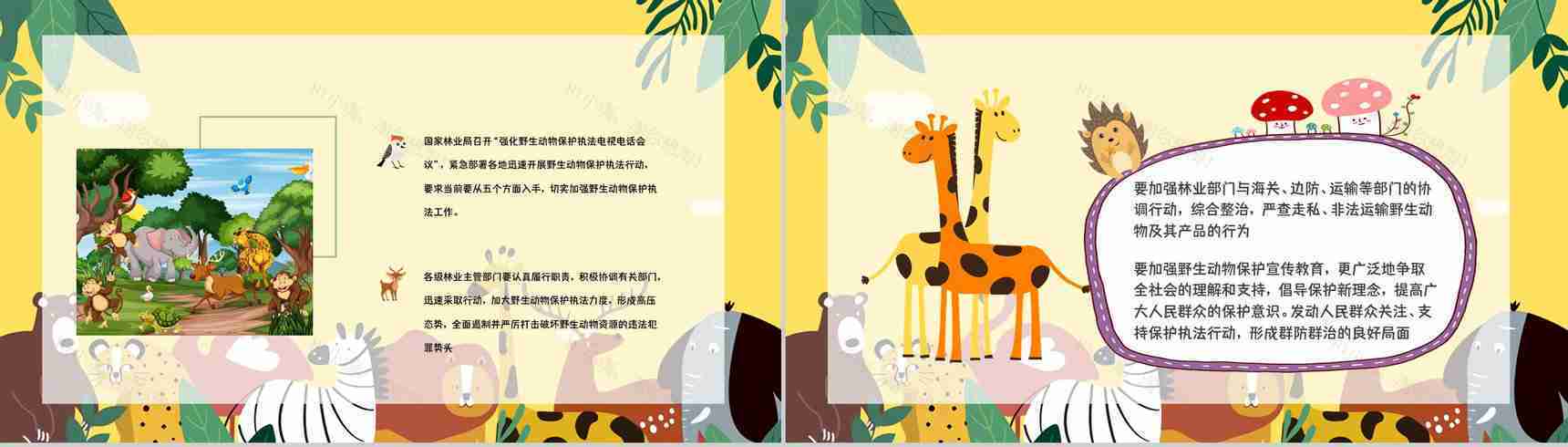 公益活动宣传野生动物保护策划学校教育培训课外活动讲座PPT模板-5