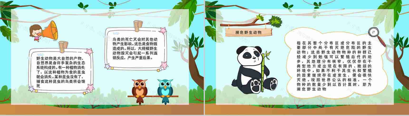 学生知识拓展至野生动物保护介绍学习主题班会世界动物日活动宣传讲解PPT模板-8