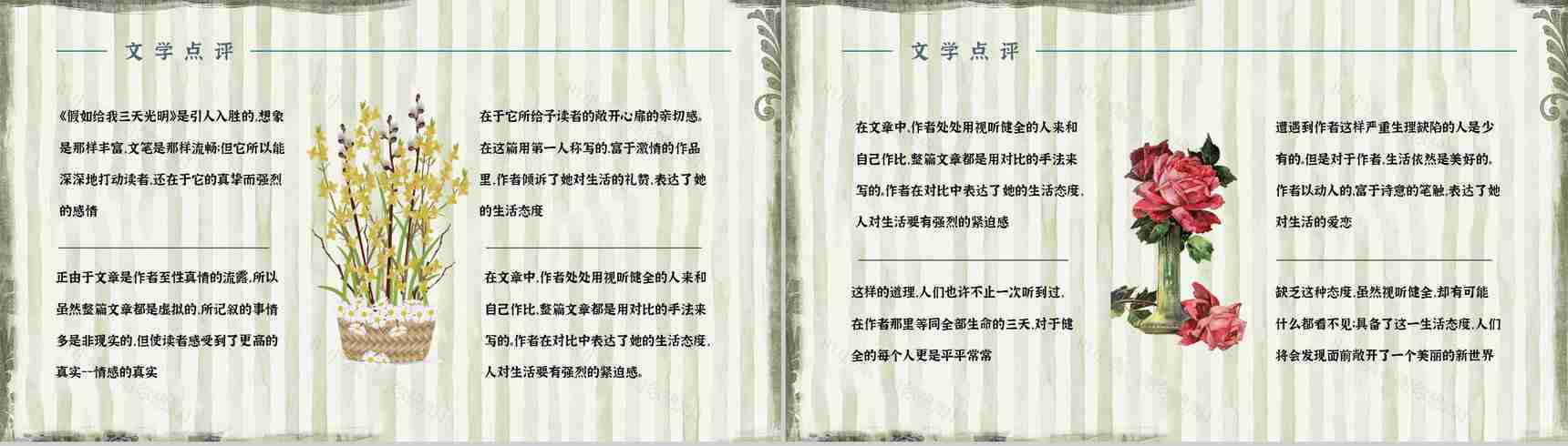 教育教学《假如给我三天光明》作品简介好词好句摘抄整理PPT模板-8