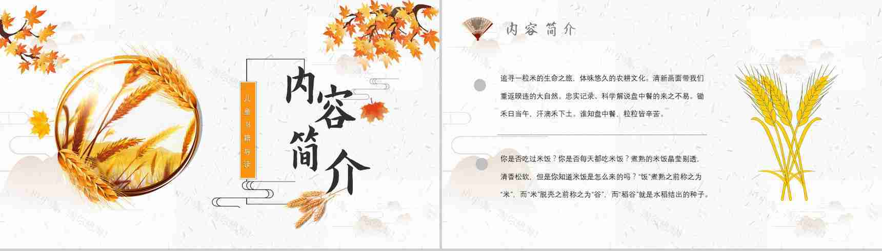 教育培训《盘中餐》内容简介心得体会PPT模板-2