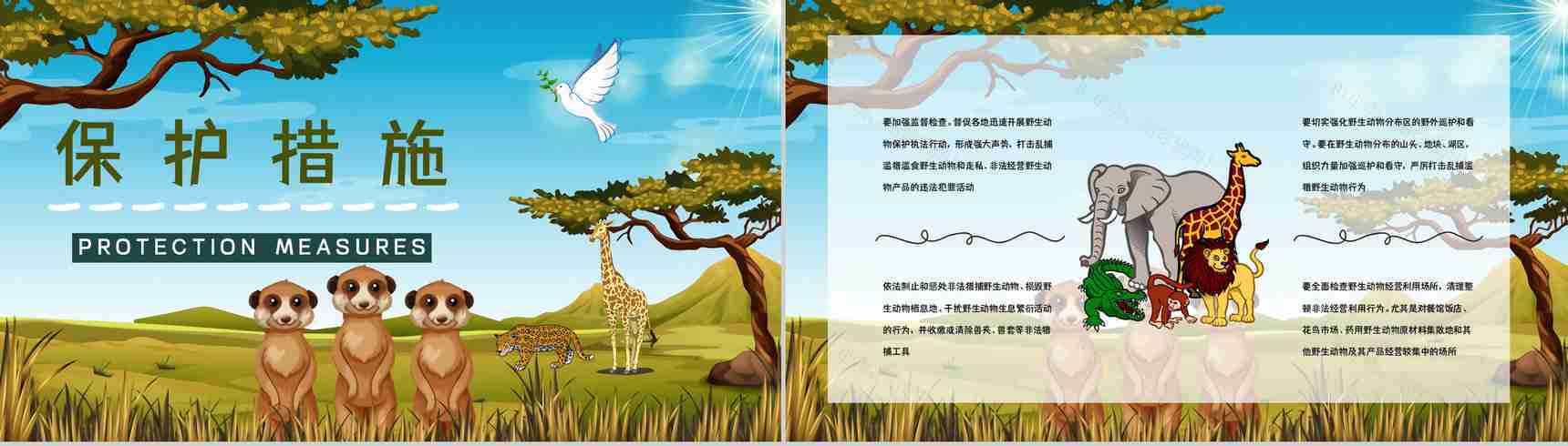 保护野生动物我们在行动主题公益活动宣传学生课外教学拓展PPT模板-9