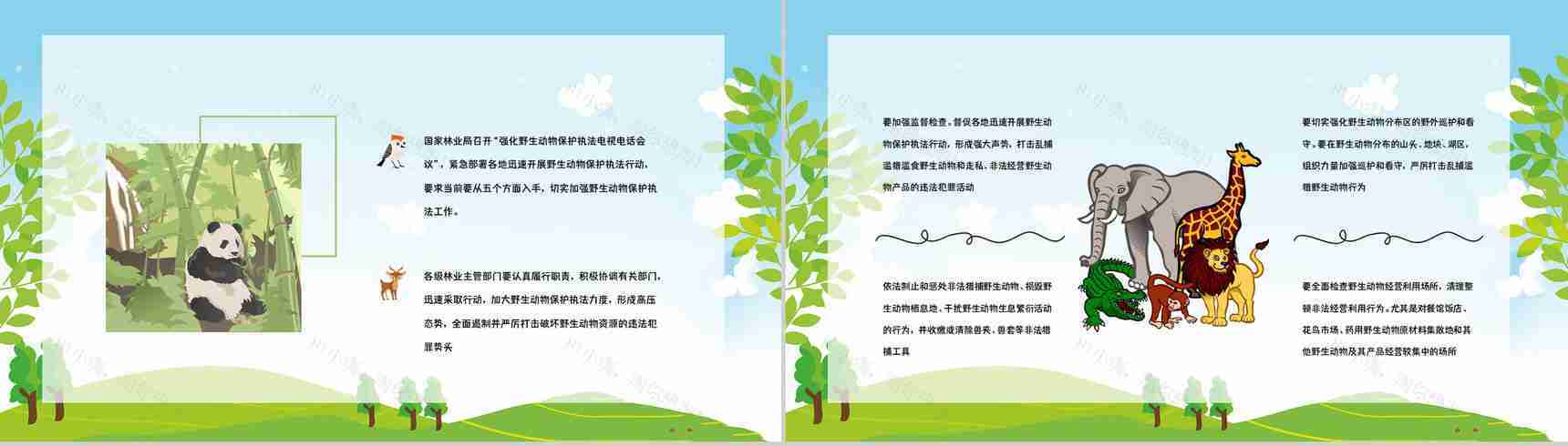 禁食野味宣传野生动物知识讲解保护动物活动公益宣传培训讲座PPT模板-7