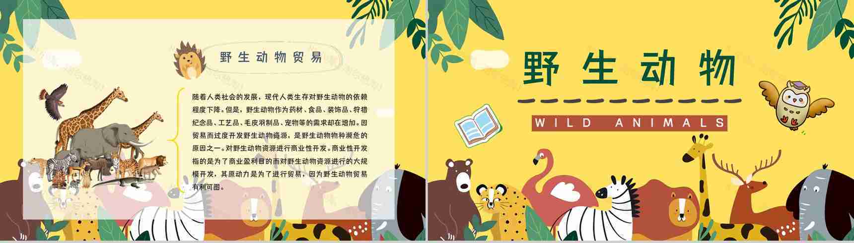 公益活动宣传野生动物保护策划学校教育培训课外活动讲座PPT模板-8