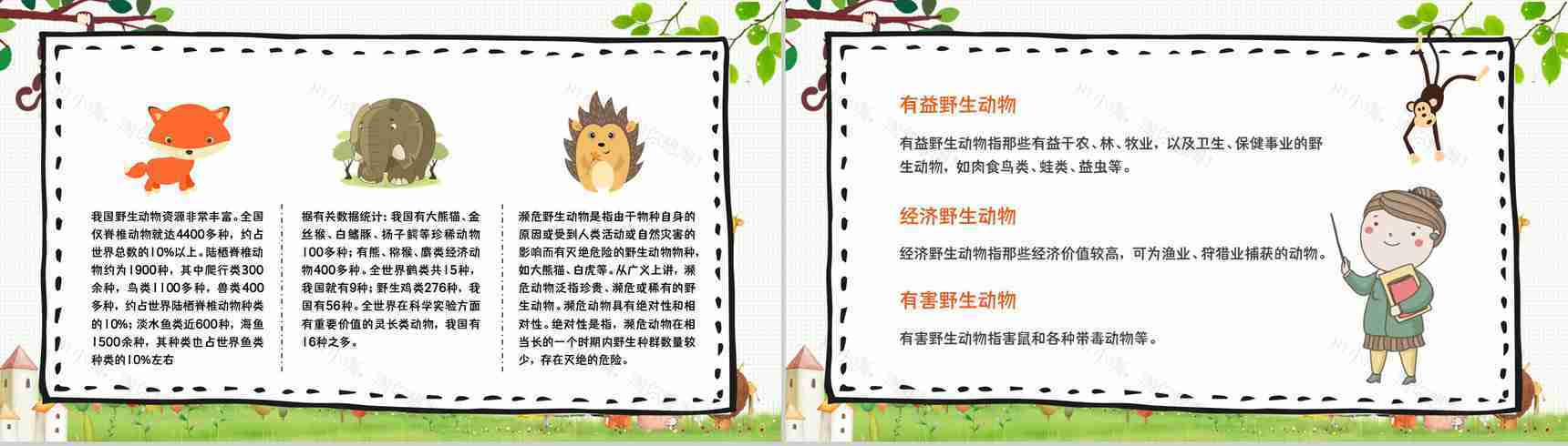 世界动物日保护野生动物活动策划学校课堂主题班会策划PPT模板-8