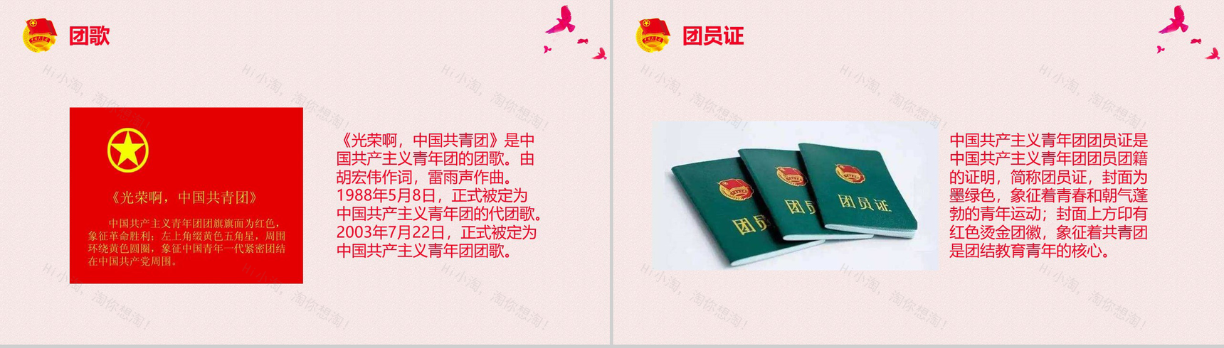 庄严大气共青团团组织团日活动PPT模板-8