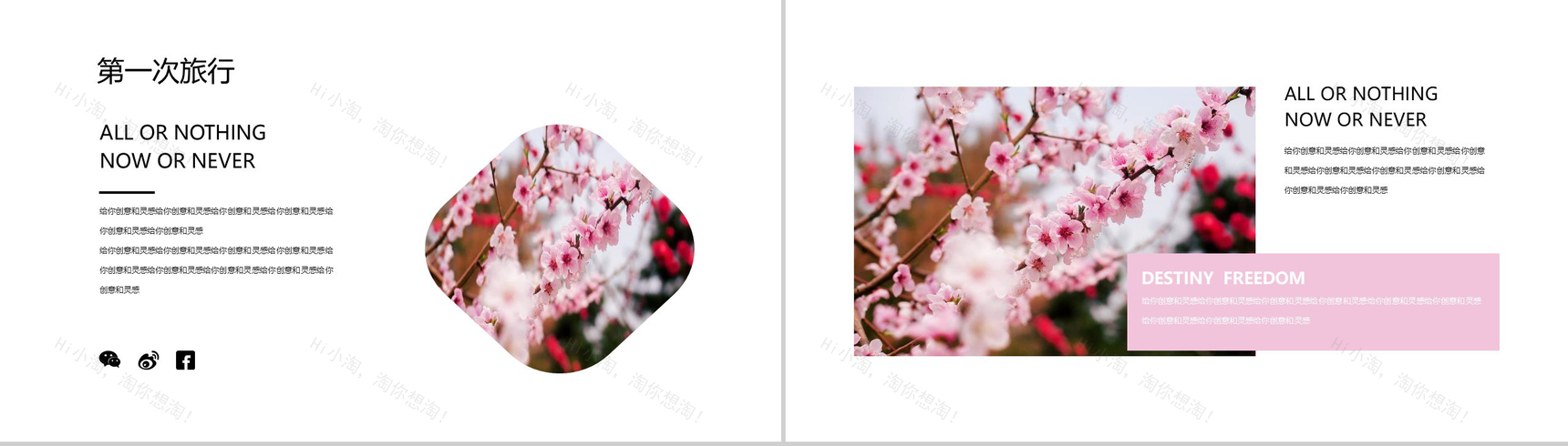 樱花节大型活动策划方案PPT模板-4