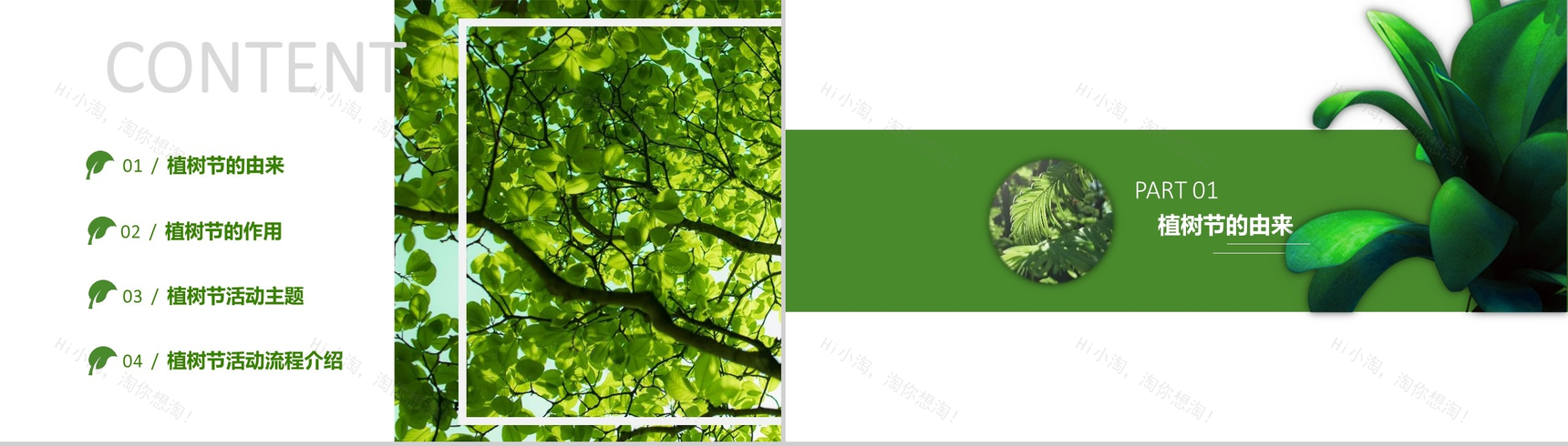 3.12国际植树节共创绿色家园PPT模板-2