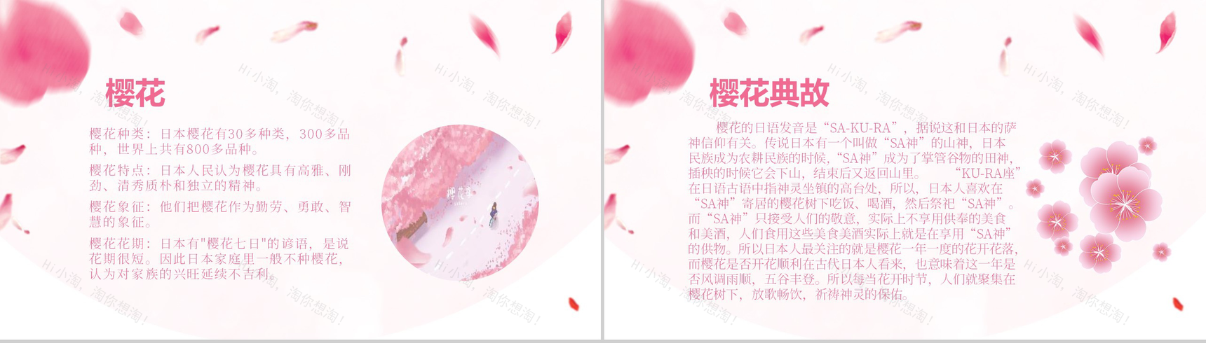 粉色清新淡雅日本樱花节樱花典故PPT模板-2