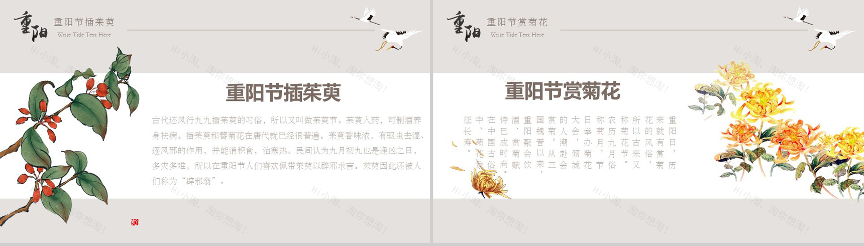 清新简约中国风敬老节重阳节PPT模板-6