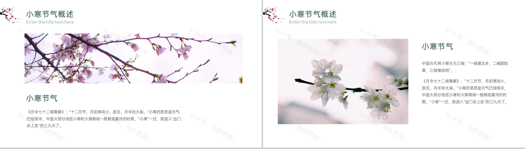 浅青简约中国风二十四节气小寒气候特征介绍PPT模板-3