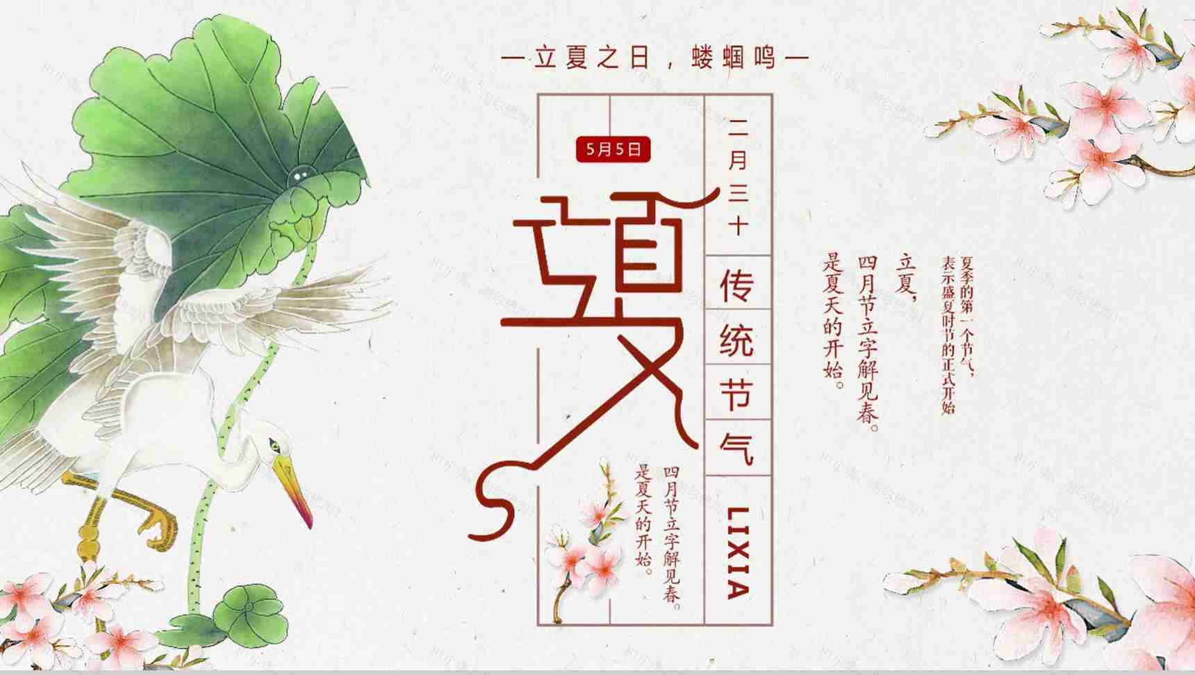 传统节气立夏节气教育讲座PPT模板-1