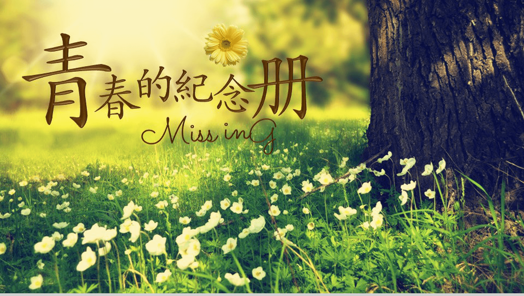 青春纪念册同学相聚温馨回忆PPT模板