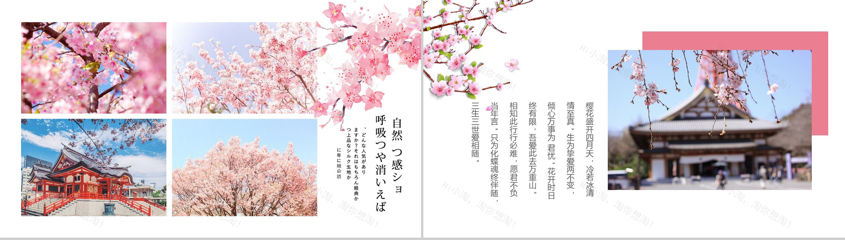 与最爱的人一起享受浪漫美丽樱花活动策划PPT模板-10