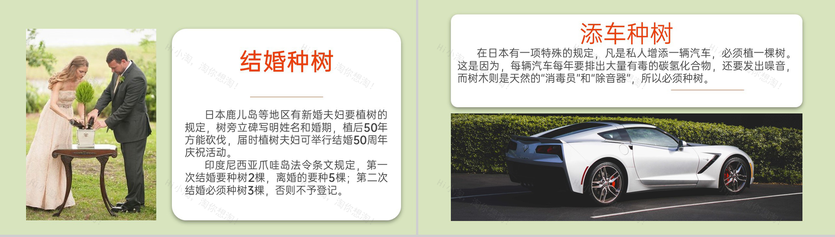 绿色自然系植树节主题活动公益宣传教育PPT模板-7