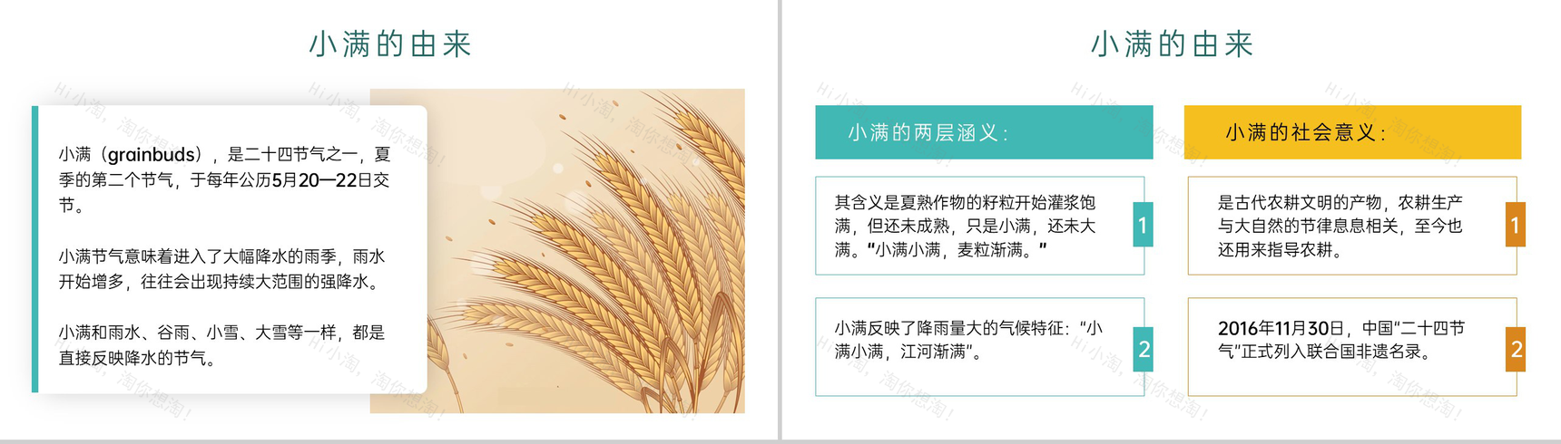 黄绿简约风二十四节气之小满介绍主题班会PPT模板-3