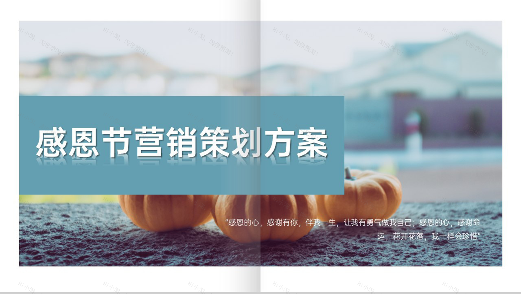 水绿色简约风感恩节活动营销策划备选方案PPT模板-1