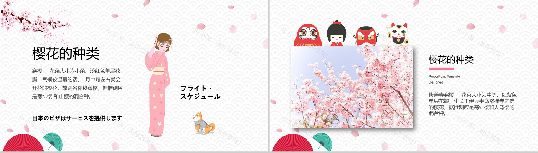 白色简约复古风樱花知识介绍PPT课件-3