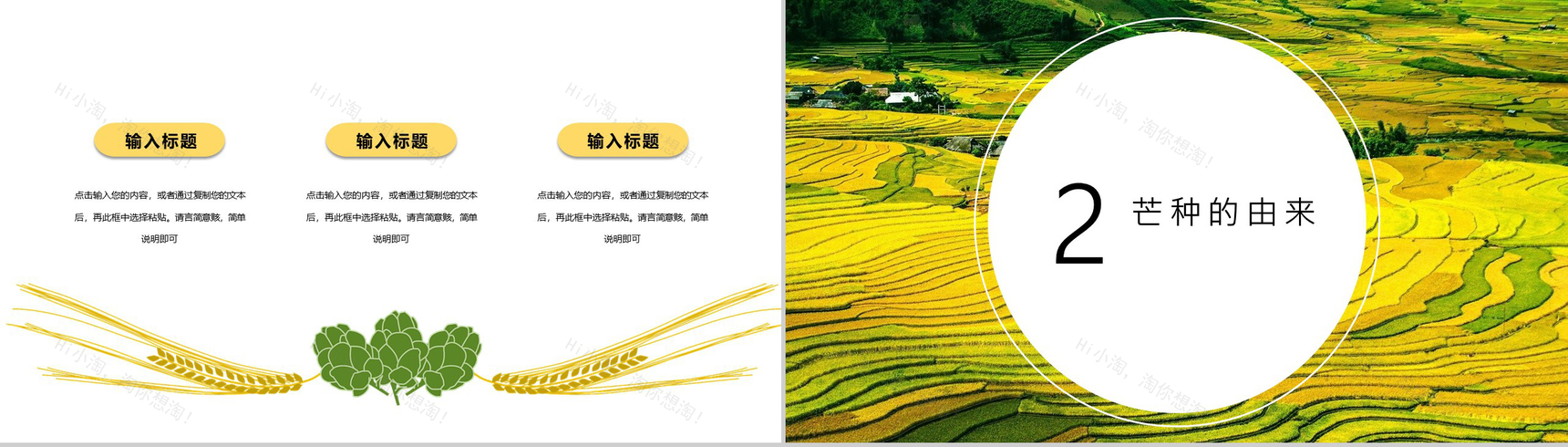 二十四节气芒种主题活动介绍PPT模板-4