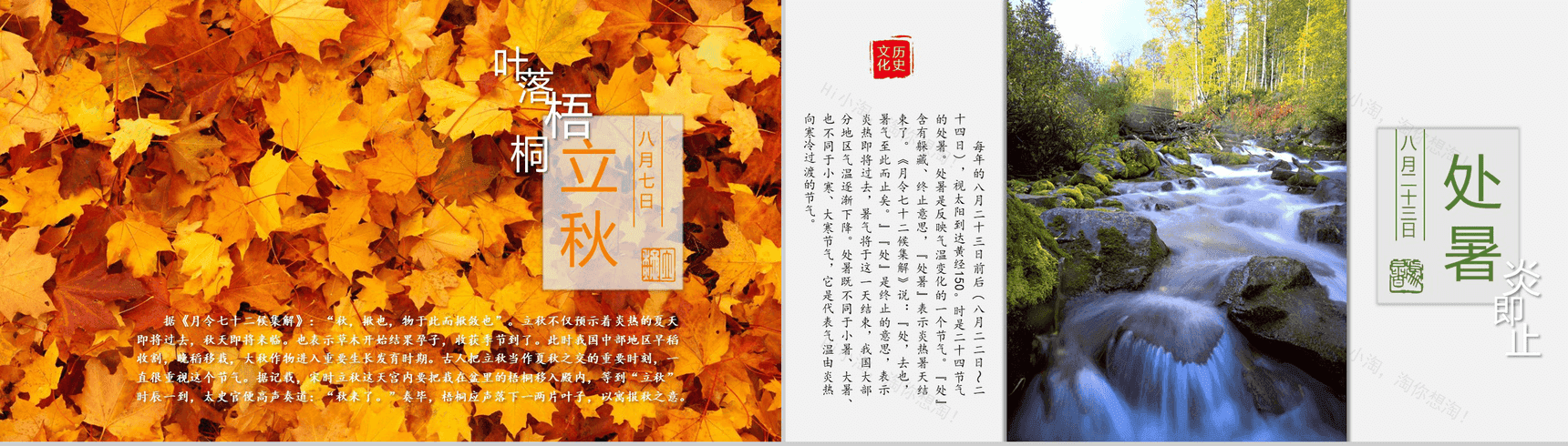 简约中国风动态二十四节气介绍PPT模板-8