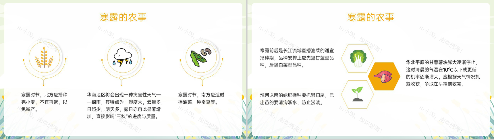 黄色小清新二十四节气寒露节气介绍寒露的三候PPT模板-6