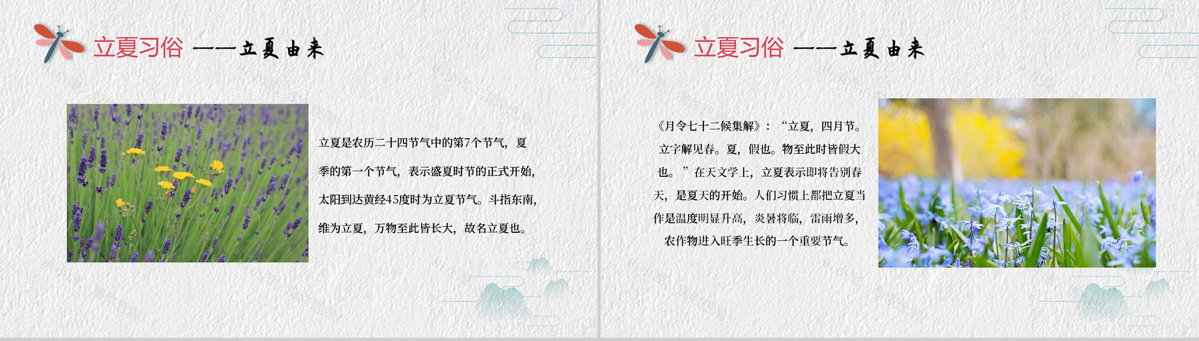 唯美清新20XX夏天你好立夏习俗PPT模板-2