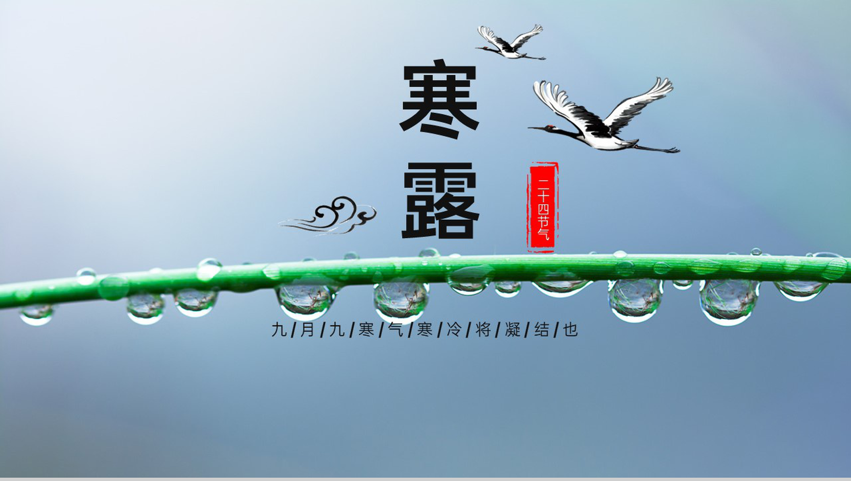 蓝色二十四节气之寒露节气习俗介绍专题PPT模板