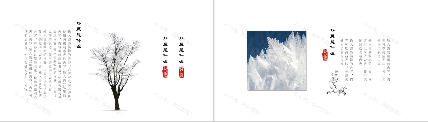白色精美雪花冬季冬至活动策划PPT模板-4