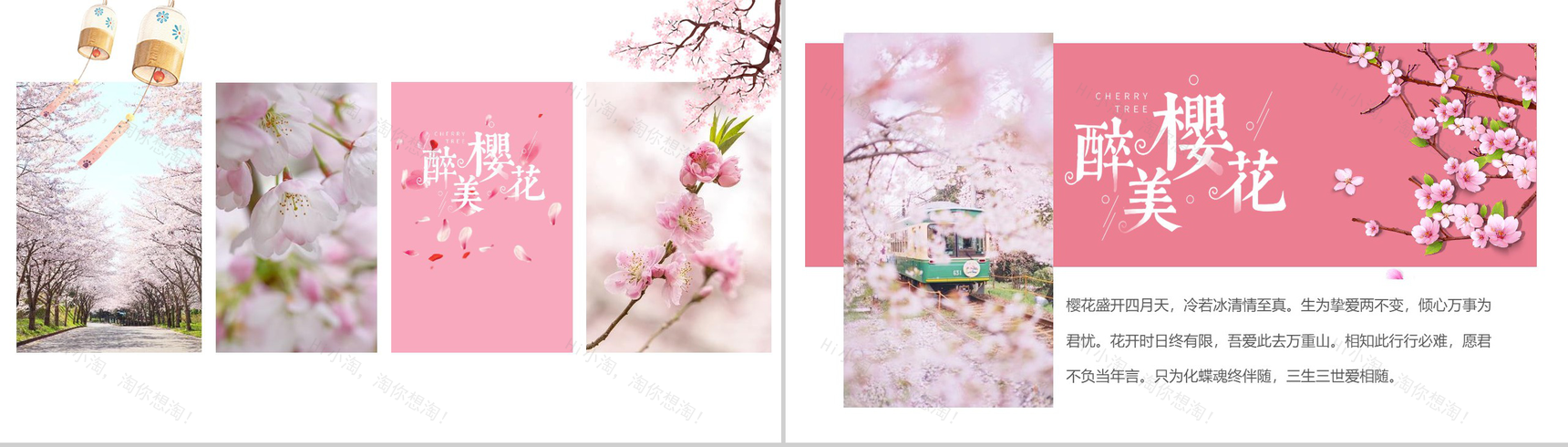 与最爱的人一起享受浪漫美丽樱花活动策划PPT模板-8