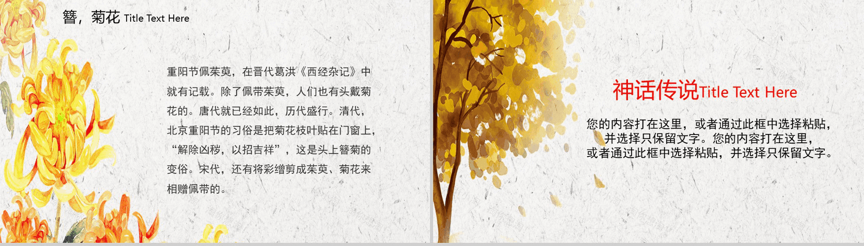 简约中国传统文化重阳节节日介绍PPT模板-7