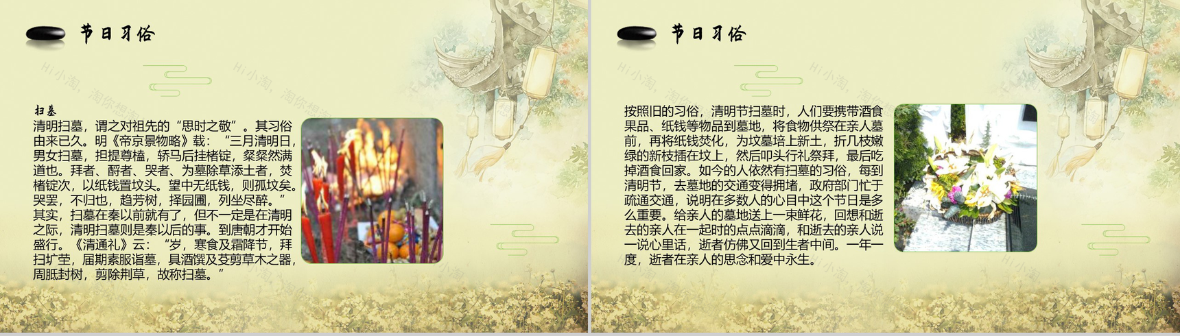 杨柳依依万物生长又是一年清明时PPT模板-5