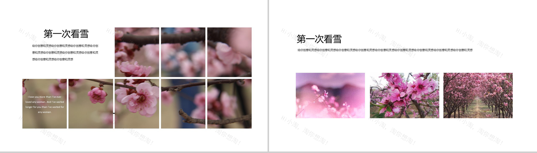 樱花节大型活动策划方案PPT模板-7