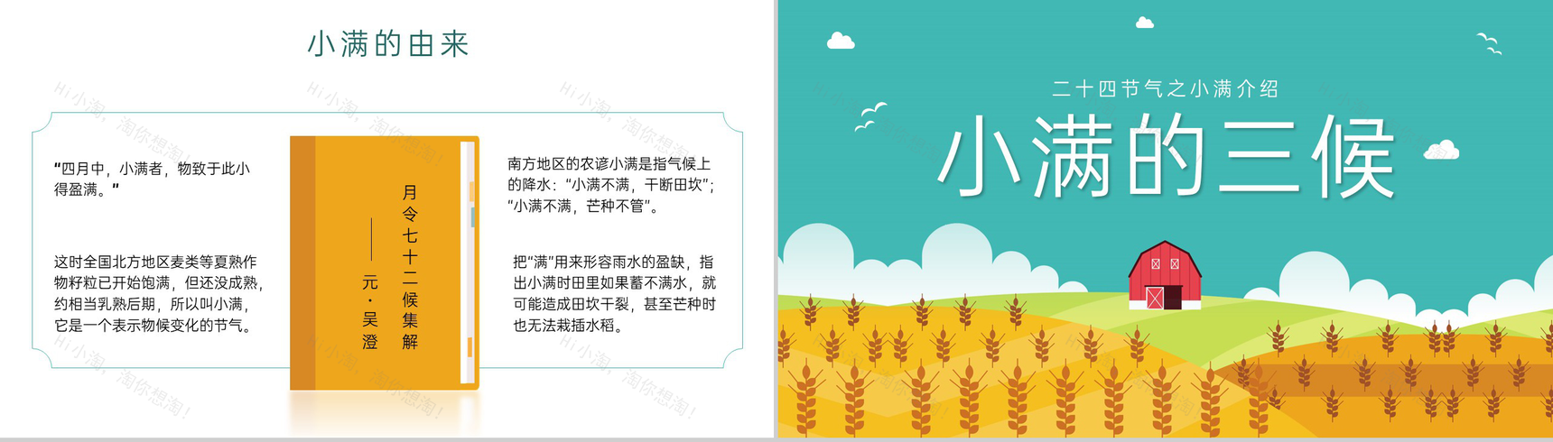 黄绿简约风二十四节气之小满介绍主题班会PPT模板-4