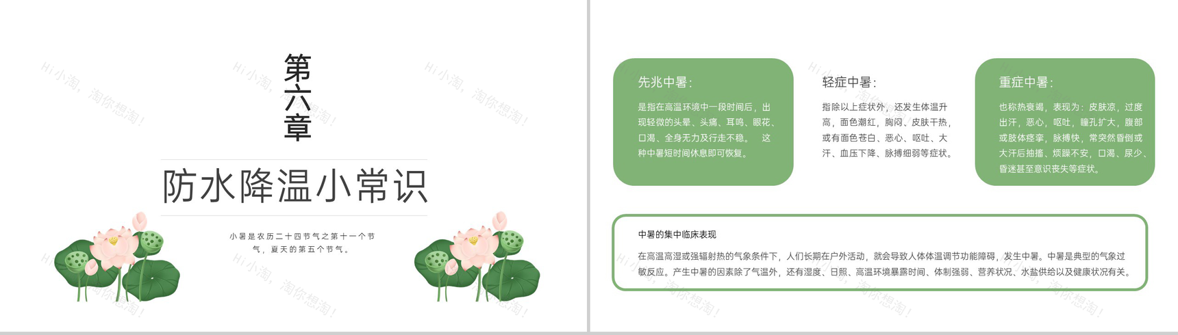 浅绿色中国风传统二十四节气之小暑简介教学课件PPT模板-13