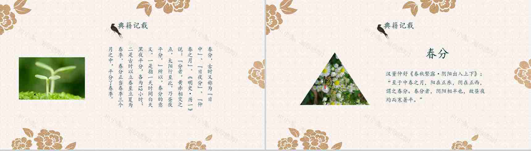 春暖花开春分节气节日庆典PPT模板-9